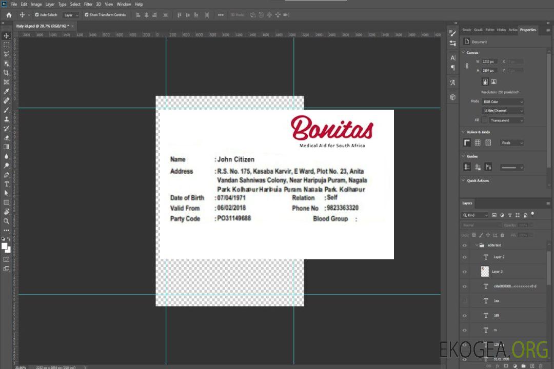 Carte d'assurance maladie d'Afrique du Sud template